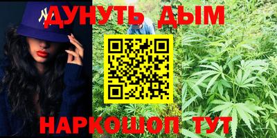 дмт Ставрополь