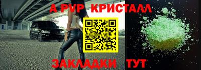 дмт Ставрополь