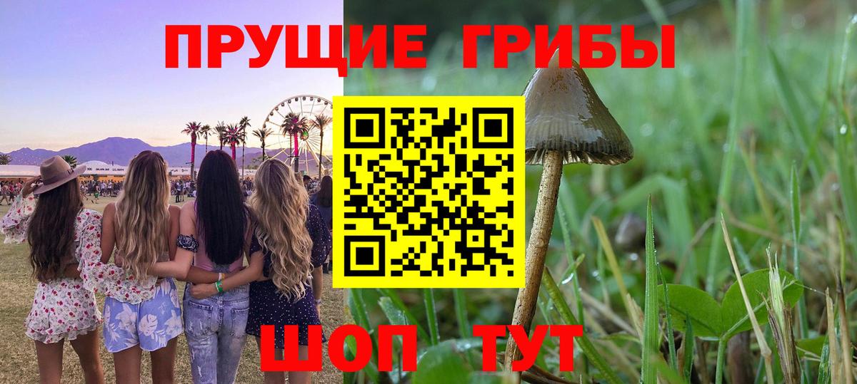 Галлюциногенные грибы Magic Shrooms Новокубанск