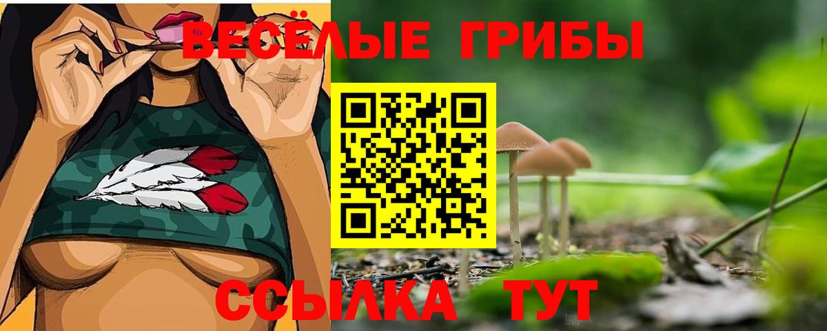 купить закладку  Псилоцибиновые грибы прущие грибы  Вход с VPN  Новокубанск 